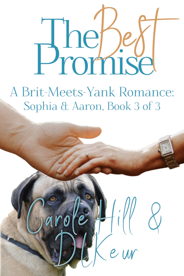 The Best Promise by D. L. Keur & Carole Hill