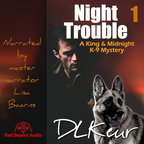 Night Trouble by D. L. Keur Audiobook cover